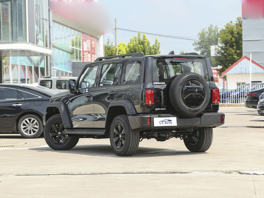 2024 Tank 300 Cross-Country 2.0T Turbo бензиновый внедорожник с максимальным крутящим моментом Nm 300-400Nm