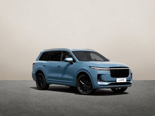 2024 Лидирующий идеальный один внедорожник EV Car Energy Electric Car в 5-дверной 6-местной конструкции кузова