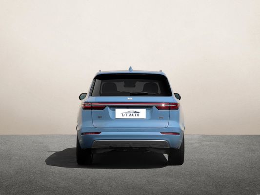 2024 Лидирующий идеальный один внедорожник EV Car Energy Electric Car в 5-дверной 6-местной конструкции кузова